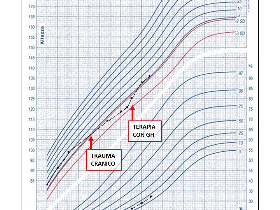 Dimensioni del pene umano